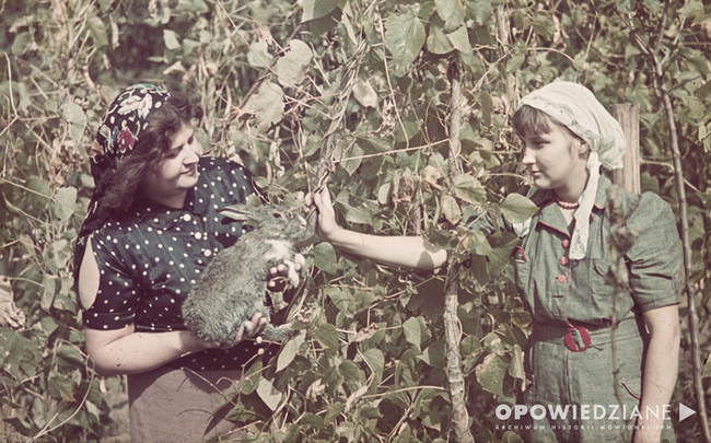 Siostra i matka Tadeusza Stankiewicza, leśniczówka Głodno, 1942 lub 1943 r., diapozytyw „Agfa”, zbiory rodzinne